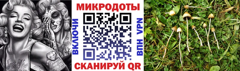 Галлюциногенные грибы ЛСД  mega рабочий сайт  Карабаново 